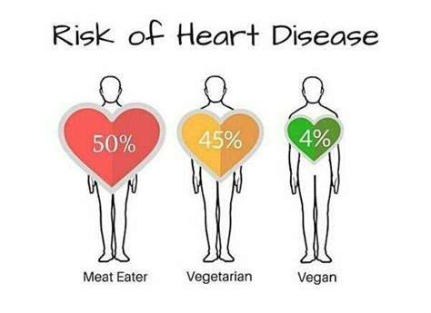 Do Vegans have more heart attacks